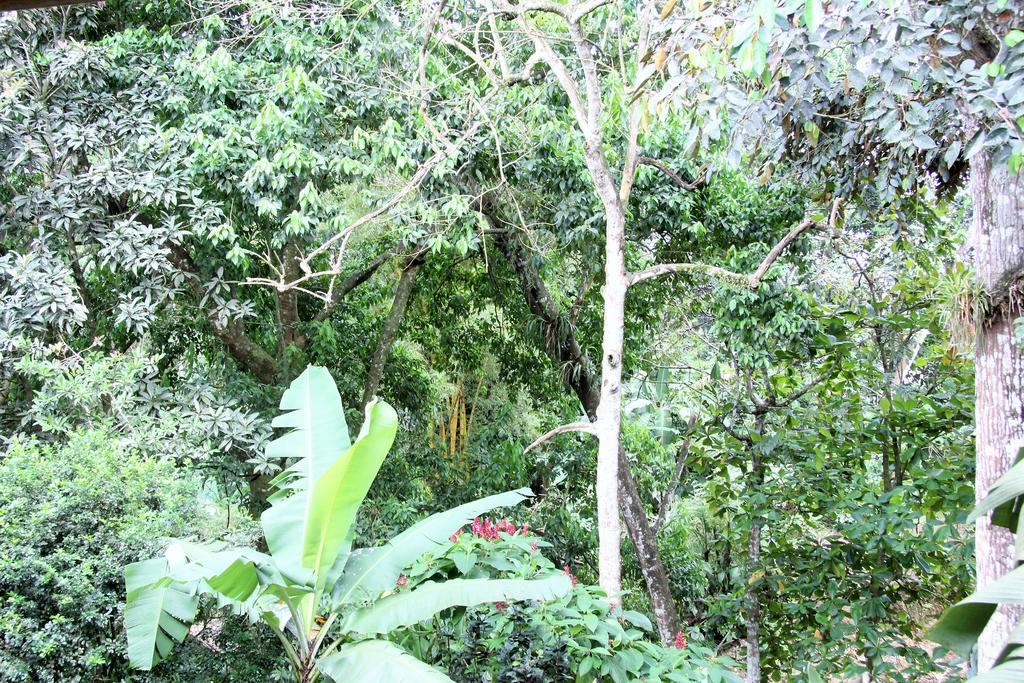 Hotel Monte Real La Fortuna Kültér fotó
