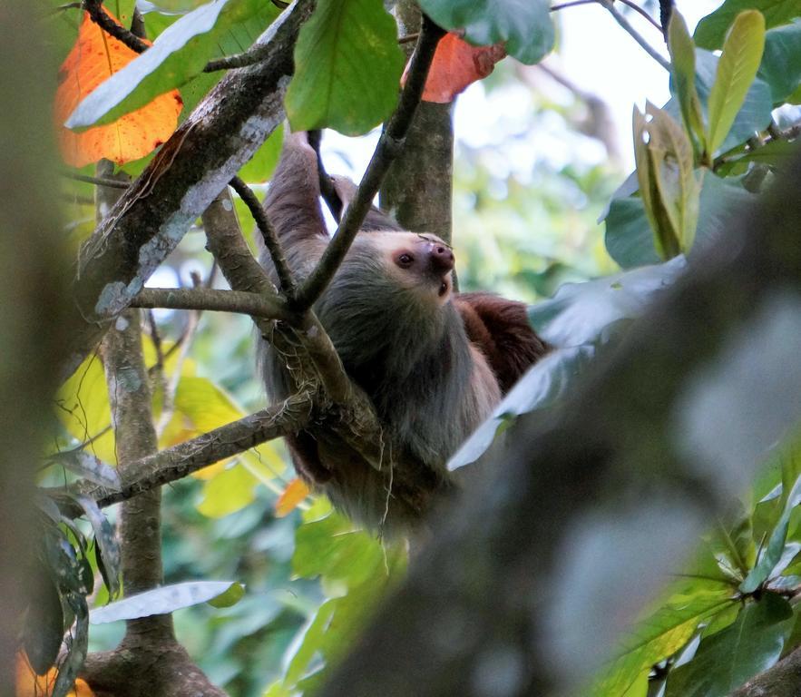 Hotel Monte Real La Fortuna Kültér fotó